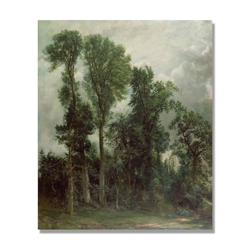 Toile Arbres à Hampstead John Constable - Tableau Décoration Murale Premium 50x60