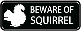 Acrylic Sign Beware of Squirrel Black Acrylic Self Adhesive Sign Thick for Home Business Restaurants Offices, Easy to Mount, Clear Message Gates, Garden Bars, Restaurants, Cafes 9x3 Inch