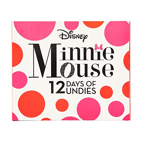 Disney girls Minnie Mouse Exclusive 12-PK Avent Box of Panties Perfect for Gifting & Potty Training Fun in Sizes 2/3T & 4T2
