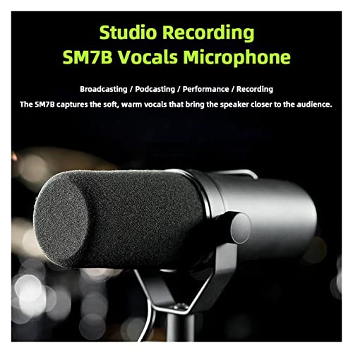 Microphone radio et câble de doublage pour studio de voix off