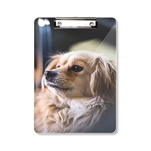 Porte-bloc photo A4 motif chien attendrissant pour travailler avec le sourire chaque jour
