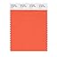Amazon.com: PANTONE Smart 16-1360X Color Swatch Card, Nectarine ...