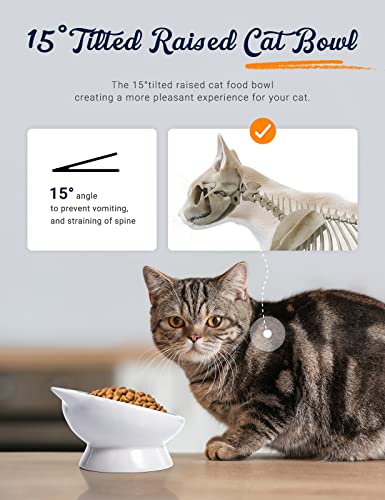 Cat Bowls Ceramic Raised Cat Bowl 15° Tilted Protect Cat's Spine, Stress Free, Prevent Vomiting, Cat Dishes For Food And Water Set Of 2,Blue #TOP2