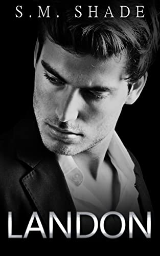  Landon (In Safe Hands Book 1) (English Edition)