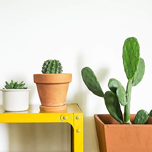Terra Cotta Pots with Saucer- 6-Pack 4'' Clay Ceramic Pottery Planter Cactus Flower Pots Succulent Pot Drainage Hole- Great for Plants,Crafts,Wedding Favor Indoor/Outdoor Plant Crafts (4 inches)