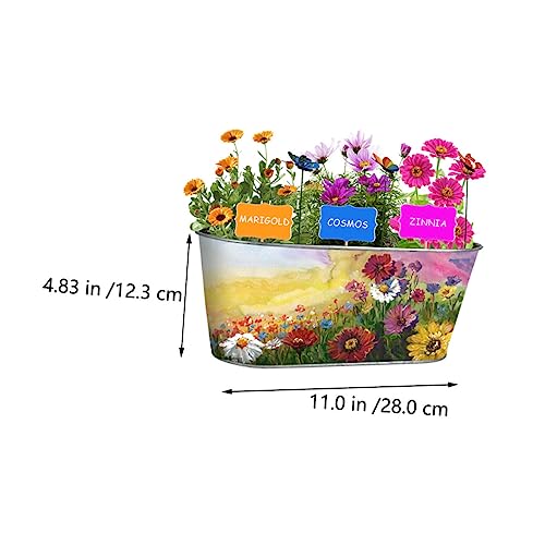 TOYANDONA Kit De De Plantas De Hierbas Kit De Jardinería para Manualidades Herramientas De Bricolaje para Flores para Decorar Interiores y - imagen 8