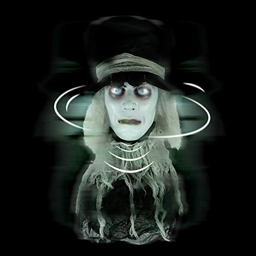 Holidayana Animatronic Spinning Severed Head - Sound and Touch Activated Spinning Severed Head