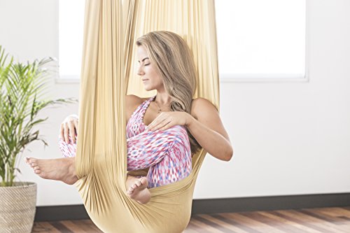 PINC Active Silk Aerial Yoga Swing & Hammock Kit for Improved Yoga Inversions, Flexibility & Core Strength - Gold