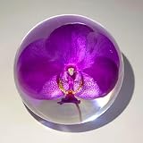 HQRP-Crystal 66mm Real Purple Orchid in Clear Lucite Resin Ball Anniversary Wedding Engagement Valentine October Birth Month Flower Display Decor Collection Herb Paperweight Keepsake