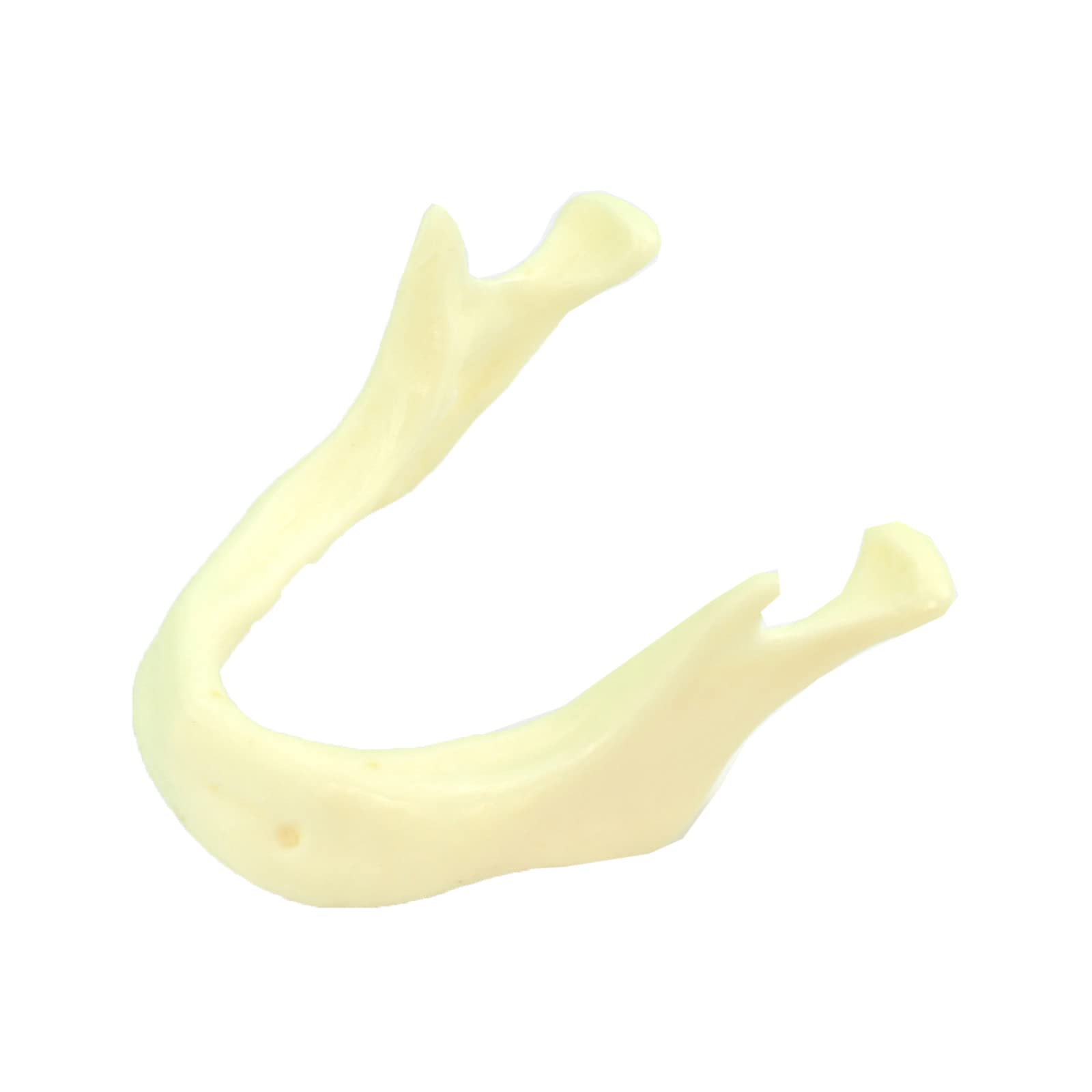 Model do ćwiczeń implantów jamy ustnej, model do pielęgnacji jamy ustnej, model do nauczania zębów dentystycznych - do praktyki bionicznej, nauczania praktycznego modelu egzaminacyjnego, ekspozycji