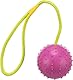Trixie Ball am Seil, Naturgummi, ø 7/30 cm, pink/lime, Hundespielzeug, Apportieren, Tauziehen