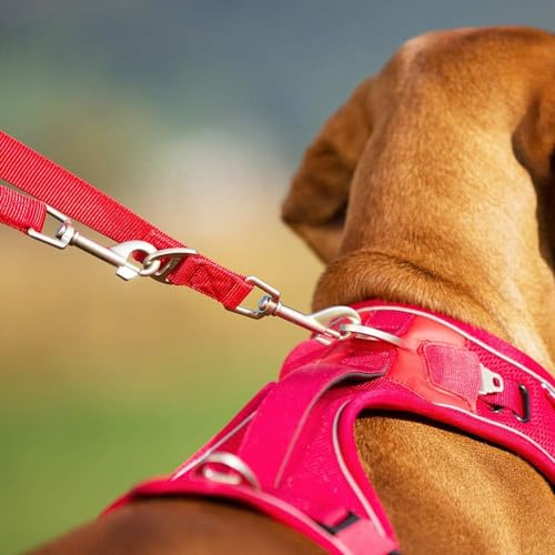 Adjustable Leash Nylon Black M