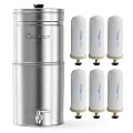 Culligan MaxClear 3 Gallon Gravity Water Filter System Removes Microplastics, PFAS & Lead, NSF/ANSI Certified, Brushed Stainless-Steel Countertop Filter with 6 Ceramic Filters