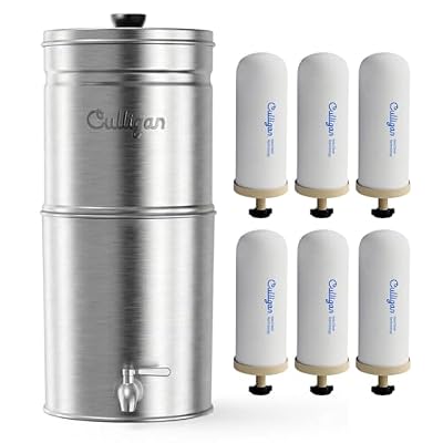 Culligan MaxClear 3 Gallon Gravity Water Filter System Removes Microplastics, PFAS & Lead, NSF/ANSI Certified, Brushed Stainless-Steel Countertop Filter with 6 Ceramic Filters