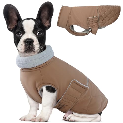 BRKURLEG Abrigo de invierno para perro, chaqueta cálida para perros pequeños y medianos y grandes, reflectante, ajustable, abrigos para clima frío, impermeable, resistente al viento, chaqueta de nieve