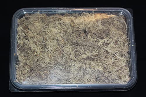 Moos Für Pflanzen ZeeDix Sphagnum Moos 85g - Natü Produktbild-Vorschau 14