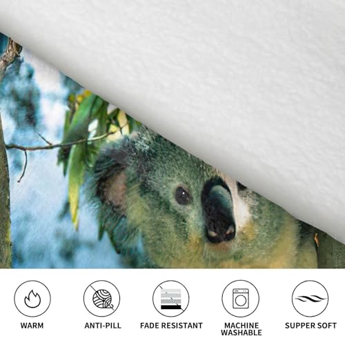 Couverture à capuche imprimé koala idée cadeau originale et douce - 6