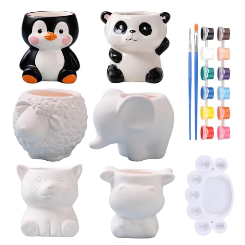 21pcs Paint Your Own Ceramic Planter Pots Set for Adults Kids Home Decor