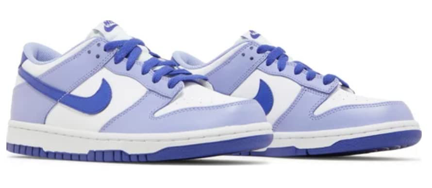 Nike Dunk Low Blueberry (PS)3