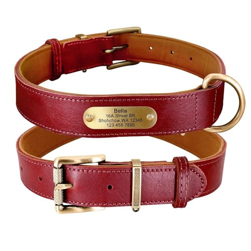 Collier pour labrador et grand chien idéal pour les sorties en forêt