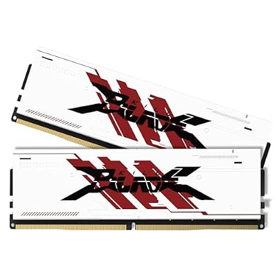PUSKILL DDR4 3200MHz CL16 Desktop RAM Kit Heatsink, 32GB (2x16GB)