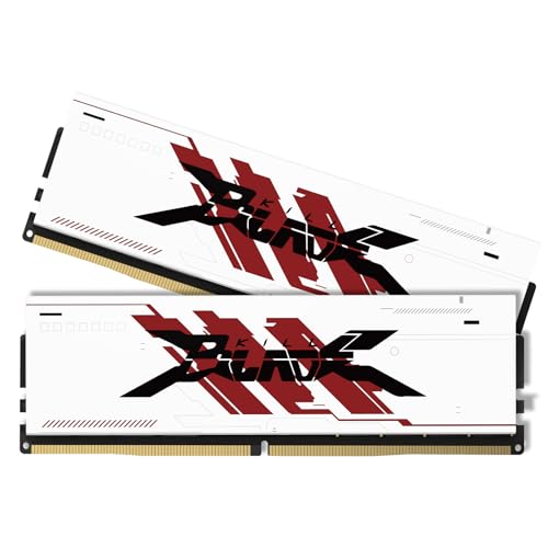 PUSKILL 32GB Kit (2x16GB) DDR4 RAM 3200MHz PC4-25600 Desktop Memory with Aluminum Heatsink, Non-ECC Unbuffered UDIMM 1.35V CL16 288-Pin, High Performance Gaming PC Upgrade for Intel & AMD