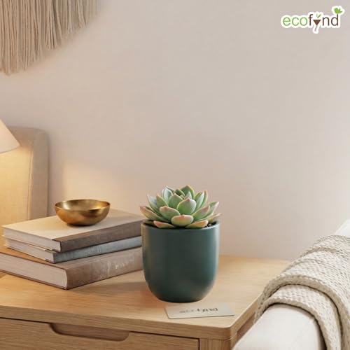 Image of ecofynd 5 Inch Ceramic Plant Pots with Drainage Hole, Modern Decorative Clay Flower Pots for Indoor Plants, Home Garden Decor for Living Room, Bedroom & Interior Spaces (CPOT041-DGN)