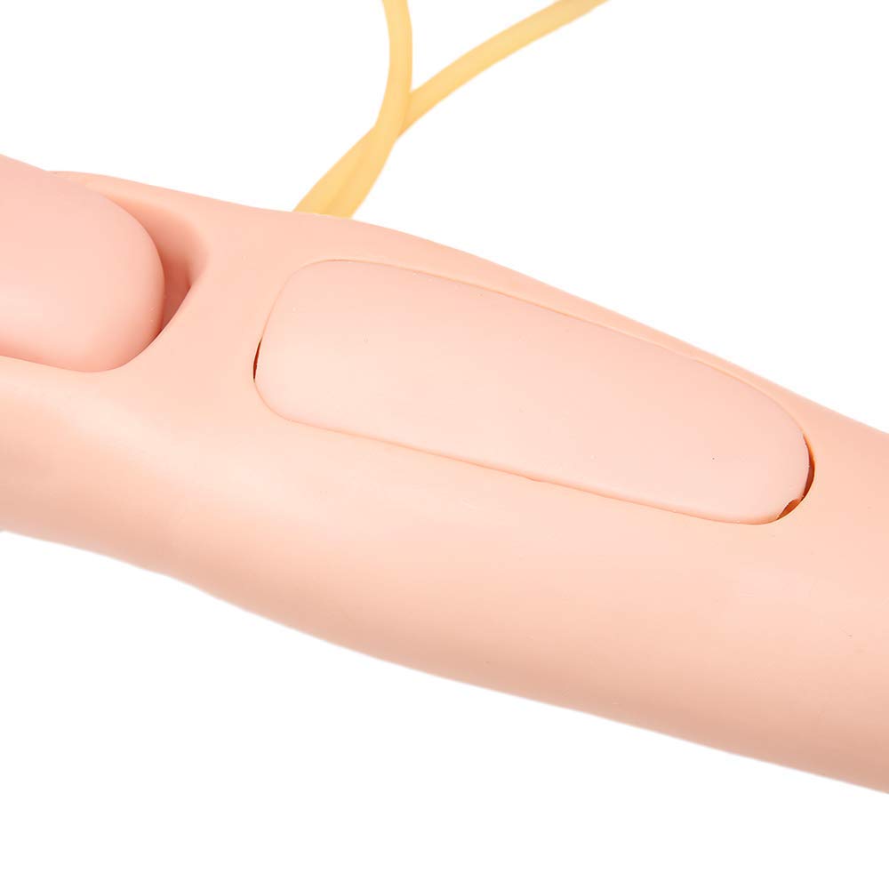 Anatomia szkielet modele zaawansowany wielofunkcyjny anatomiczny model ludzki 170 cm trening pierwszej pomocy symulacja spalania manekina szkolenia medycznego manekin
