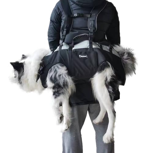 Elegantes Hunderucksack Fur Grosse Hunde Bilder