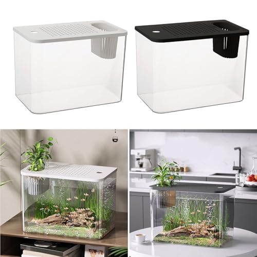 Acuario resistente a los golpes con tapa para espacios pequeños 6