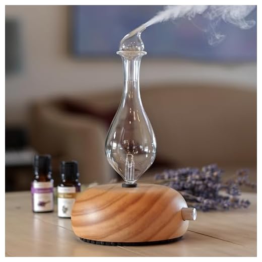 ArOmis Glass Waterless Nebulizer