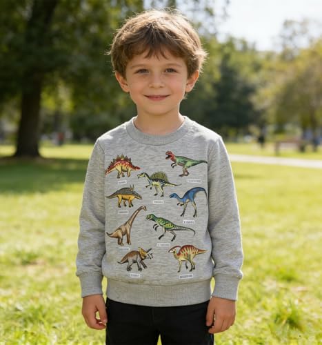 Image of Popshion Toddler Boys Sweatshirts Dinosaur Long Sleeve Pullover Crewneck Shirts Cartoon Tee Sport Tops for Kids 1-8T