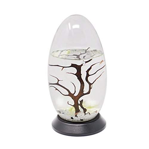 EcoSphere Closed Aquatic Ecosystem, Small Pod, with Turntable Base, Clear, 5.25 EcoSphere Closed Aquatic Ecosystem, Small Pod, with Turntable Base, Clear, 5.25