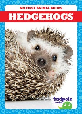 Hedgehogs (My First Animal Books)      Paperback – August 1, 2023