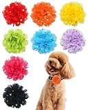 PET SHOW Dog Gold Dot Charms Flower Collar Accessories For Cat Puppy Collars Bowtie Grooming Pack of 8