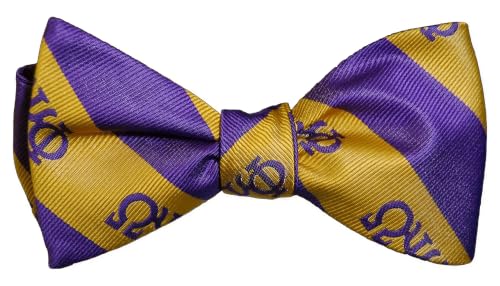 Set de Corbata de Moño y Pañuelo Hombre Morado/Dorado miniatura 3