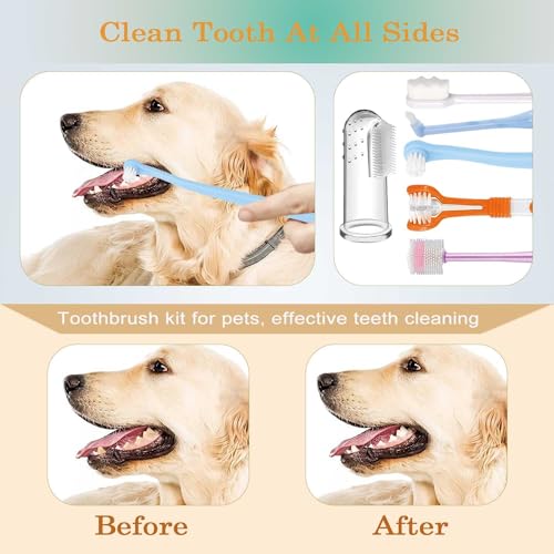 Image of Dog Toothbrush Set,Finger Rubber Toothbrushes /Double Head Pet Tooth Brush /Triple Head Dog Toothbrushes /360º Cat Toothbrush /Multi-Angle Dental Cleaning Brushes Kit for Puppy Kitten Oral Hygiene,8 Pack