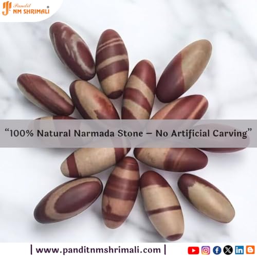 Image of PANDIT NM SHRIMALI Energized Narmadeshwar Shivling - 2 Inch | Original Narmada River Lingam | Sacred Stone for Vastu, Puja, Meditation | Shiva Lingam for Home & Office