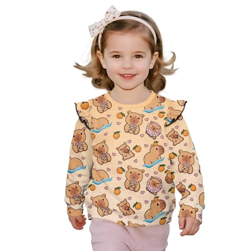 Toddler Girl's Sweatshirt Long Sleeve Crewneck Pullover Winter Clothes