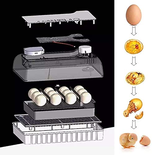 Ei incubator, 12 eieren Volautomatische Poultry Hatcher Machine, LED Candler Automatische Egg Turner Temperatuurregeling… - Afbeelding 5