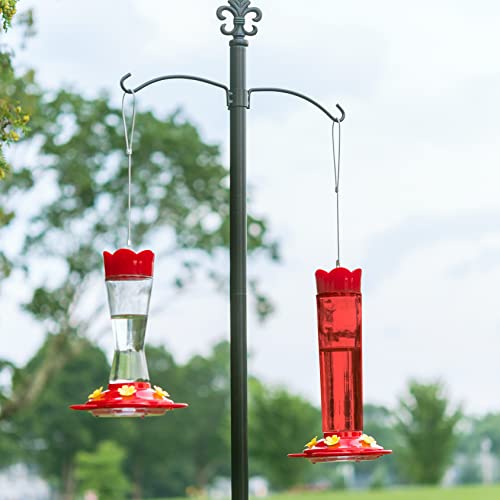 image for MEKKAPRO Red Hummingbird Feeder 20-Ounce, Made from Glass, Hanging 5 N