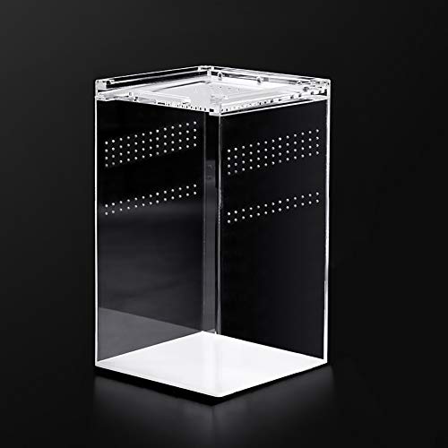 Naneezoo Magnetic Acrylic Reptile Cage, 6 Inchx6 Inchx9 Inch Tall Enclosure Transparent Reptile Breeding Box Terrarium Tank For Tarantula Scorpion Sling Isopods Invertebrates Insect Mantis thumb #6