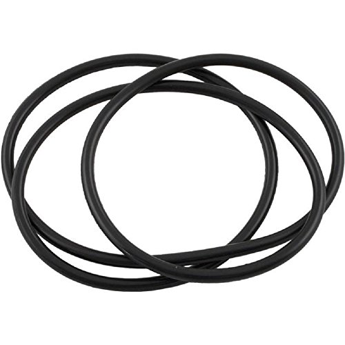 Waterway 805-0460 Lid O-Ring