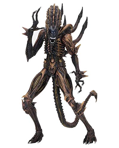 NECA - Figurine Aliens - Alien Scorpion 18cm - 0634482516690