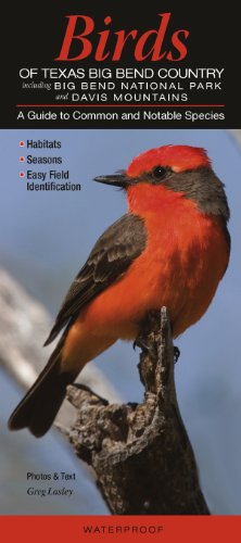 Birds of Texas Big Bend Country incl. Big Bend National Park & Davis Mtns.: A Guide to Common & Notable Species
