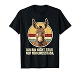 Esel Lustig Sprüche Witzig Sarkastisch Humor