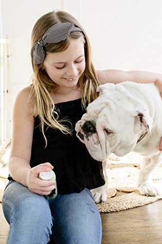 PAWFUME Premium Grooming Spray Dog Spray Deodorizer Perfume For Dogs - Dog Cologne Spray Long Lasting Dog Sprays - Dog… - Image 8