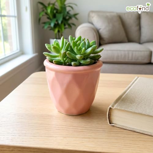 Image of ecofynd 4 Inch Ceramic Plant Pots with Drainage Hole, Modern Decorative Clay Flower Pots for Indoor Plants, Home Garden Decor for Living Room, Bedroom & Interior Spaces (CPOT043-PNK)