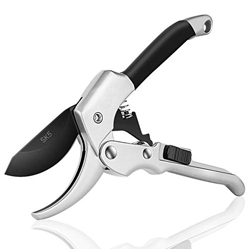 Image of Steel Blade Sharp Anvil Garden Scissors Hedge Pruning Shears, Silver & Black
