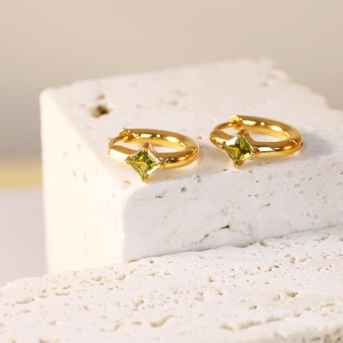 FANSING Birthstone Hoop Earrings for Women Lightweight 316L Surgical Steel Huggie Earrings3